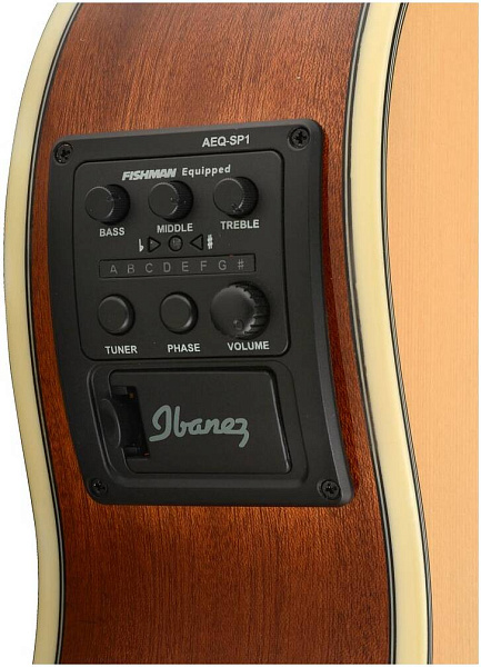IBANEZ AEG10II-NT - Гитара электроакустическая
