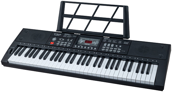 TERRIS TK-250 BK - Синтезатор