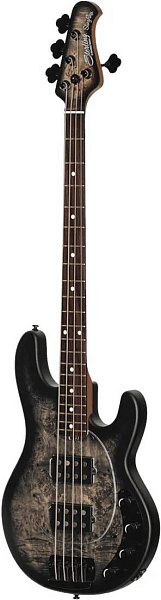 STERLING StingRay HH Poplar Burl Top Trans Black - Бас-гитара 4 струны