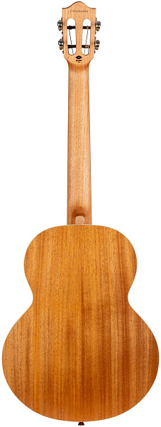 FLIGHT IRIS Tenor BK - Укулеле тенор