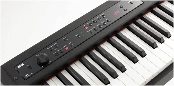 KORG D1 - Пианино цифровое