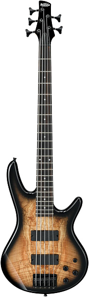 IBANEZ GSR205SM-NGT бас-гитара, 5 струн, корпус - тополь, топ - плесневелый...