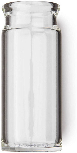 DUNLOP 273 BLUES BOTTLE REGULAR WALL LARGE CLEAR SLIDE - Слайд