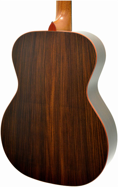 TYRONE GOLD OM Rosewood - Гитара акустическая шестиструнная