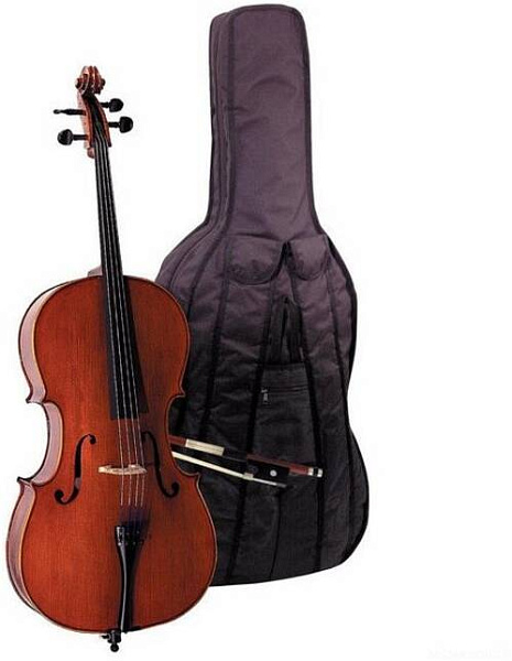 GEWAPure Cello Outfit EW 4/4 виолончель в комплекте (чехол, смычок, канифоль)