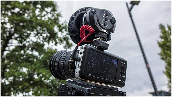 RODE STEREO VIDEOMIC X стерео накамерный микрофон вещательного класса