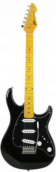 PEAVEY Raptor Custom BLK - Электрогитара