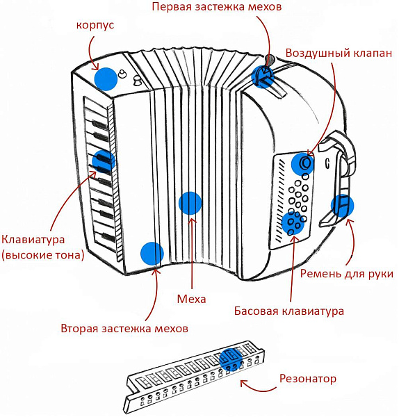 HOHNER XS - Аккордеон