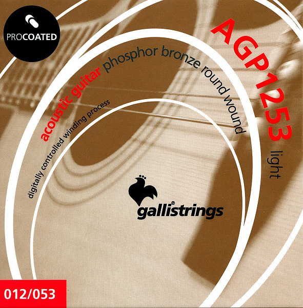Комплект струн GALLI STRINGS [AGP1253] для акустической гитары