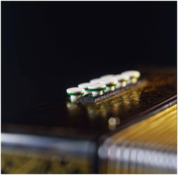 HOHNER Vienna Model 2915 - Аккордеон диатонический