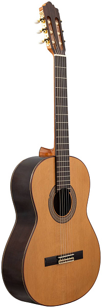 ALTAMIRA N300+ CASE - Гитара классическая 4/4