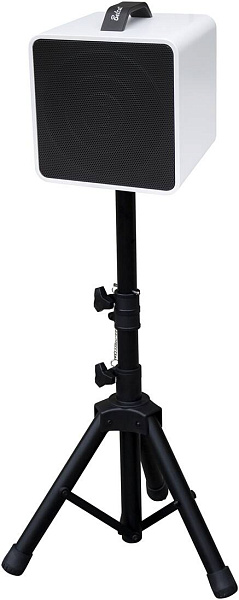 BELCAT Busker Box Acoustic 40 - Комбоусилитель для акустической гитары