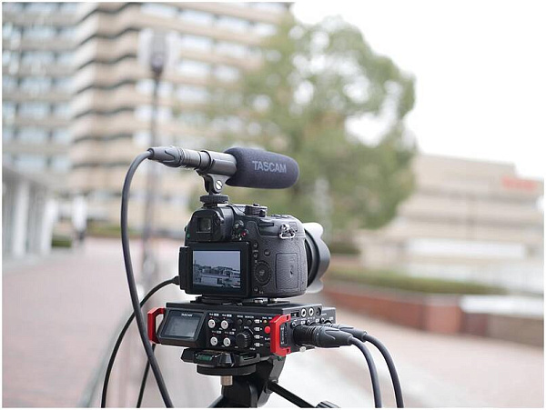 TASCAM TM-200SG - микрофон конденсаторный, суперкардиоидный, 30-20000 Гц.