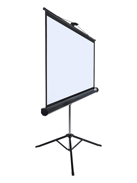 [LMV-100108] Экран на штативе Lumien [Master View] 183x244 см (116") Matte White FiberGlass черн. кайма по периметру, устойчивый штатив 4:3