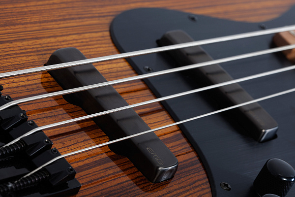 Бас-гитара SCHECTER J-4 EXOTIC FVSB
