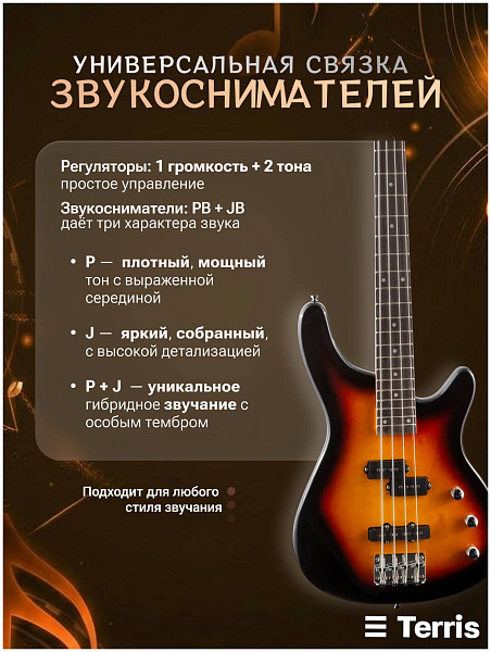TERRIS SET-SSS SB - Бас-гитара 4 струны