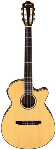 IBANEZ AEG10NII NT - Гитара электроакустическая шестиструнная