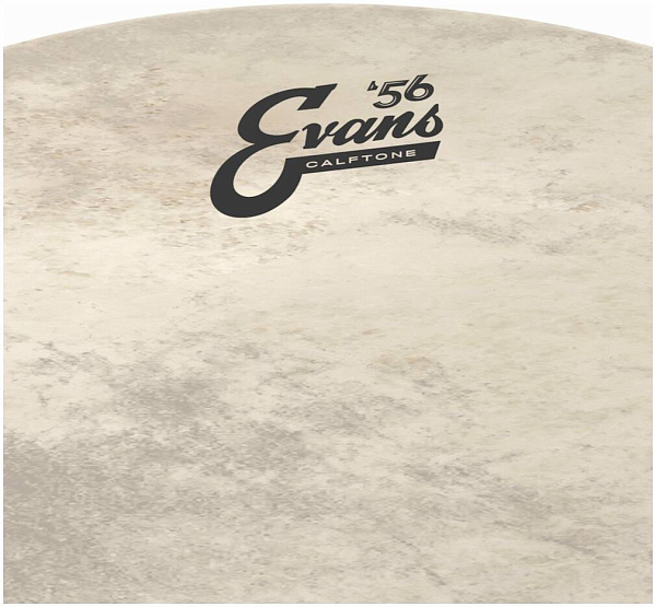 EVANS BD20CT - Пластик 20"