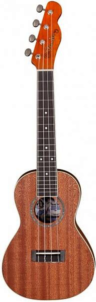 FENDER UKULELE MINO'AKA - Укулеле концерт