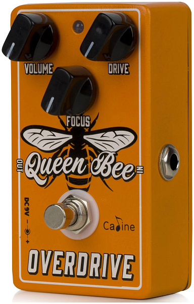 CALINE CP-503 - Педаль эффектов Overdrive