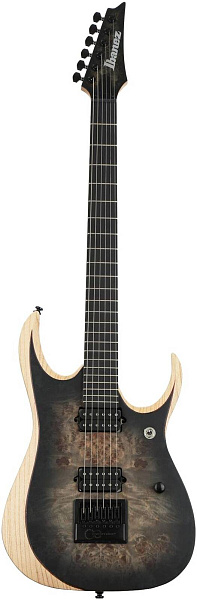 IBANEZ RGDIX6PB-SKB IIRON LABEL - Электрогитара