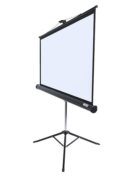 [LMV-100108] Экран на штативе Lumien [Master View] 183x244 см (116") Matte White FiberGlass черн. кайма по периметру, устойчивый штатив 4:3