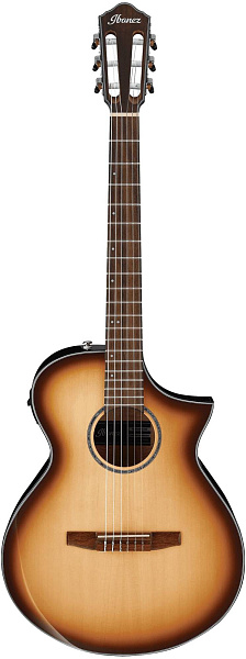 IBANEZ AEWC300N NNB - Гитара электроакустическая