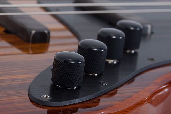 Бас-гитара SCHECTER J-4 EXOTIC FVSB