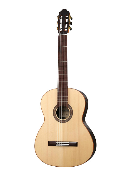 Torres-650-RS Классическая гитара, Martinez