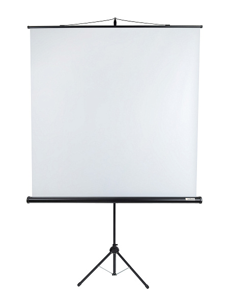 [LEV-100105] Экран на штативе Lumien [Eco View] 160x160 см (89") Matte White 1:1
