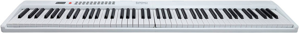 DAVINCI DPP-301 WH - Синтезатор с автоаккомпанементом