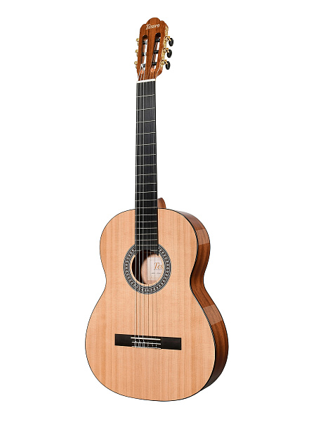 TESORO TS3940 - Гитара классическая
