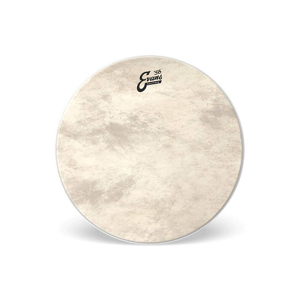 EVANS BD20CT - Пластик 20"