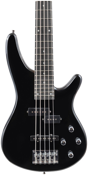 TERRIS THB-15-5 BK - Бас-гитара 5 струн
