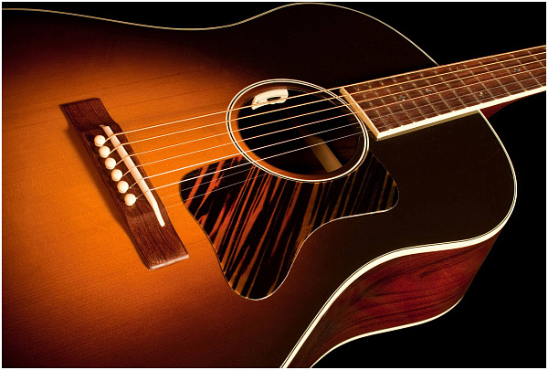 LR BAGGS Anthem SL C - Звукосниматель для классической гитары