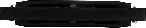 BEE DF10A-1 BLACK - Губная гармоника диатоническая