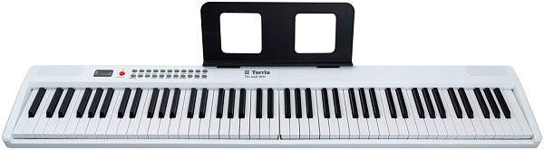 TERRIS TK-440 WH - Синтезатор с автоаккомпанементом