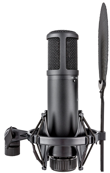 Микрофон конденсаторный sE Electronics [SE 2200] 20 Гц - 20 кГц, кардиоида, комплектация: металлический поп-фильтр, держатель типа паук, резьбовой переходник на микрофонную стойку