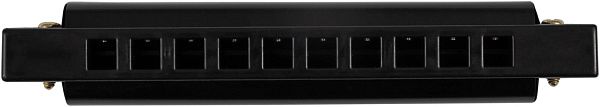 BEE DF10A-1 BLACK - Губная гармоника диатоническая