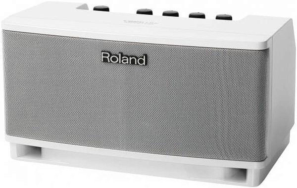 ROLAND CUBE LITE Monitor - Комбоусилитель для акустической гитары