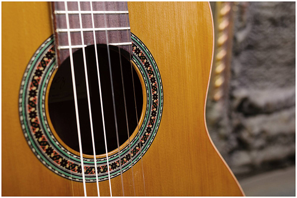 PEREZ 610 Cedar - Гитара классическая 4/4