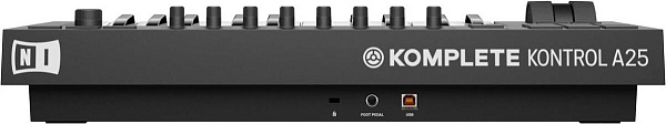 Native Instruments KOMPLETE KONTROL A25 - 25 клавишная полувзвешенная динамическая...