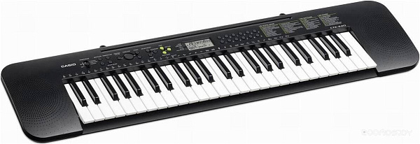 CASIO CTK-240 - Синтезатор