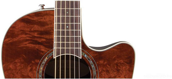 OVATION CS24P-NBM Celebrity Standard Plus Mid Cutaway Nutmeg Burled Maple...