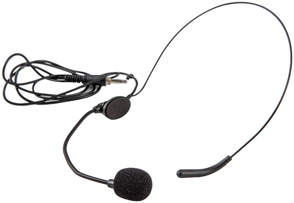 AUDIOVOICE WL-22HPM - Радиосистема