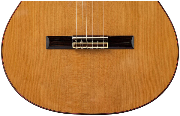 ALTAMIRA N300+ CASE - Гитара классическая 4/4