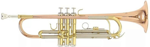 ROY BENSON TR-202 G - Труба