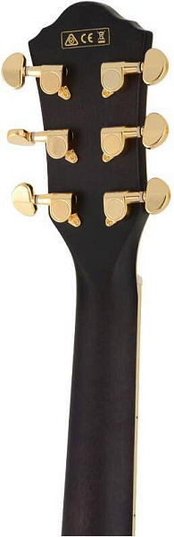 IBANEZ AEG24II-TGB - Гитара электроакустическая