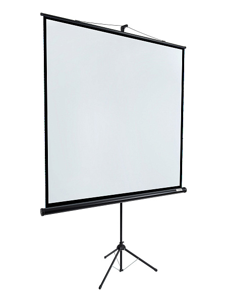 [LEV-100104] Экран на штативе Lumien [Eco View] 127x127см (раб.область 121х121 см) (67") Matte White 1:1