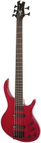 EPIPHONE Toby Deluxe-V Bass (gloss) TR - Бас-гитара 5 струн